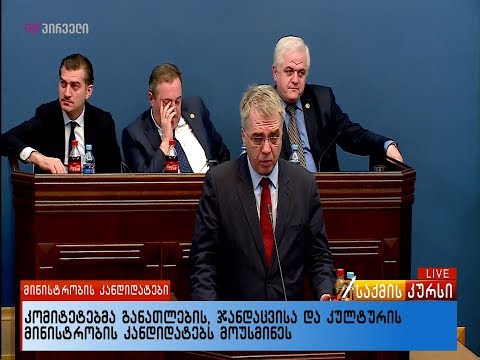 კომიტეტებმა განათლების, ჯანდაცვისა და კულტურის მინისტრობის კანდიდატებს მოუსმინეს