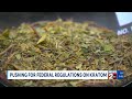 Pushing for federal regulations on Kratom