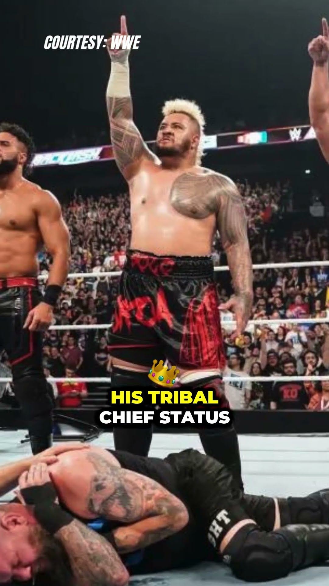 Is Solo Sikoa Adding to The Bloodline Watch Out, Roman! #SoloSikoa #TheBloodline #WWE #shorts