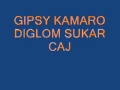 Gipsy kamaro