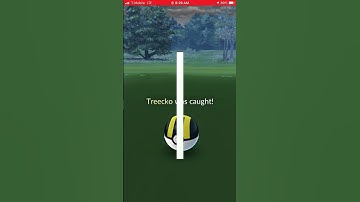 Random Encounter Shiny Treecko plus Evolution into Shiny Grovyle in Pokémon Go #shinypokemon