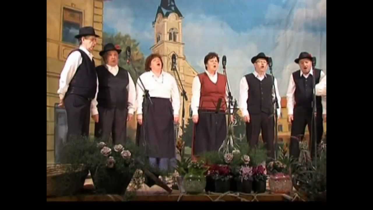 Zbogom zdaj stara družba - Pevci in godci Reber