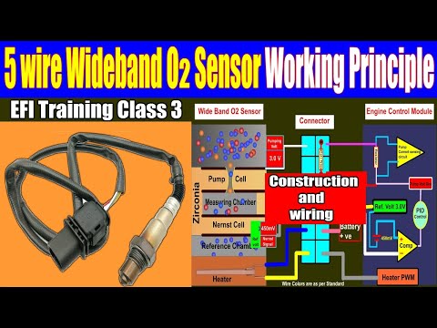 Video: Hvordan fungerer en enkelt wire o2 sensor?