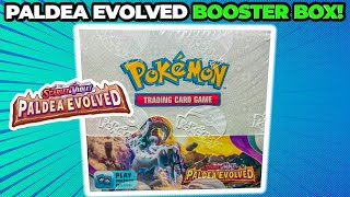 Pokemon Paldea Evolved Booster Box OPENING!