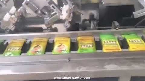 Automatic herb bag tea bag sachet multi station robot feeding conveyor pushing cartoning machine car