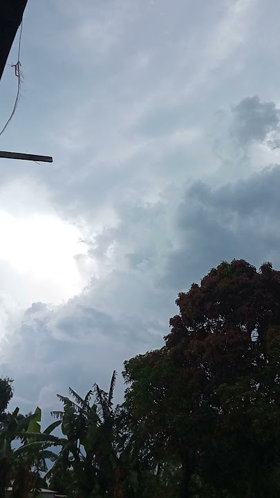 Hujan mau turun langit yang indah #hujan #langitindah #mendung #story #short #fyp #shorts