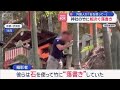 外国人か　神社の竹に相次ぐ落書き「石を使って…」【スーパーJチャンネル】(2026年5月22日)
