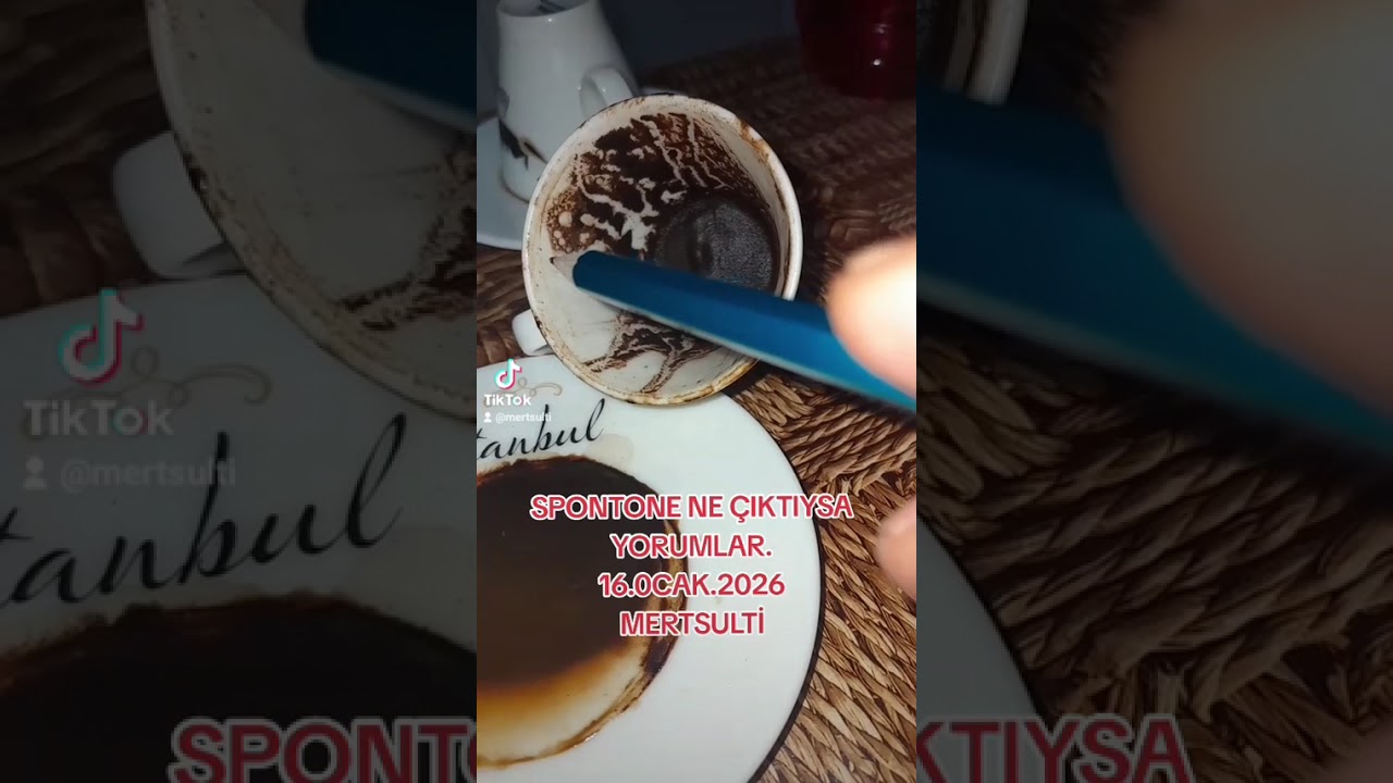 Mertsulti danışmanlık.