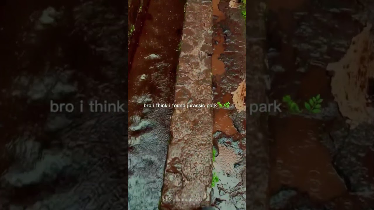 I am bit afrraid of T-rex 🦖🌿