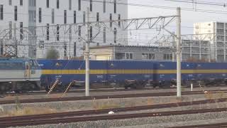 【JR貨物】  EF66-113牽引 西濃貨物 吹田貨物ターミナル入線     岸辺駅にて  11月10日 撮影