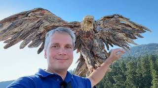 видео: Виктория. Как американцы и англичане о.Ванкувер делили. картинка: Виктория. Как американцы и англичане о.Ванкувер делили.