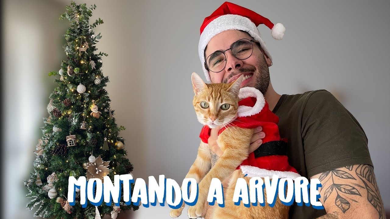 VLOG MONTANDO A ÁRVORE DE NATAL DOS MEUS SONHOS | Menino Prendado