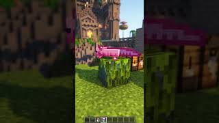 The Weird Way Fish Float in Minecraft!"