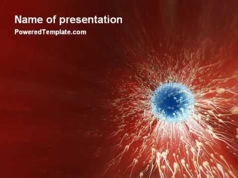 Conception PowerPoint Template by PoweredTemplate.com