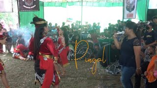 pingal ~ Jathilan Turonggo mudho Karyo kalinongko kidul