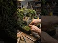“Handmade Mini Jungle House on a Manufacturing Table | Realistic Diorama Craft” #viralvideo