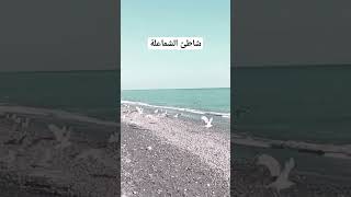 أجمل شواطئ المغرب ~ الشماعلة فصباح بكري