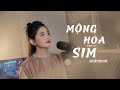 Mng hoa sim  thin t  juna hin thanh cover