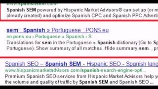 Spanish SEO Services in Spain - MintTwist Digital Agency