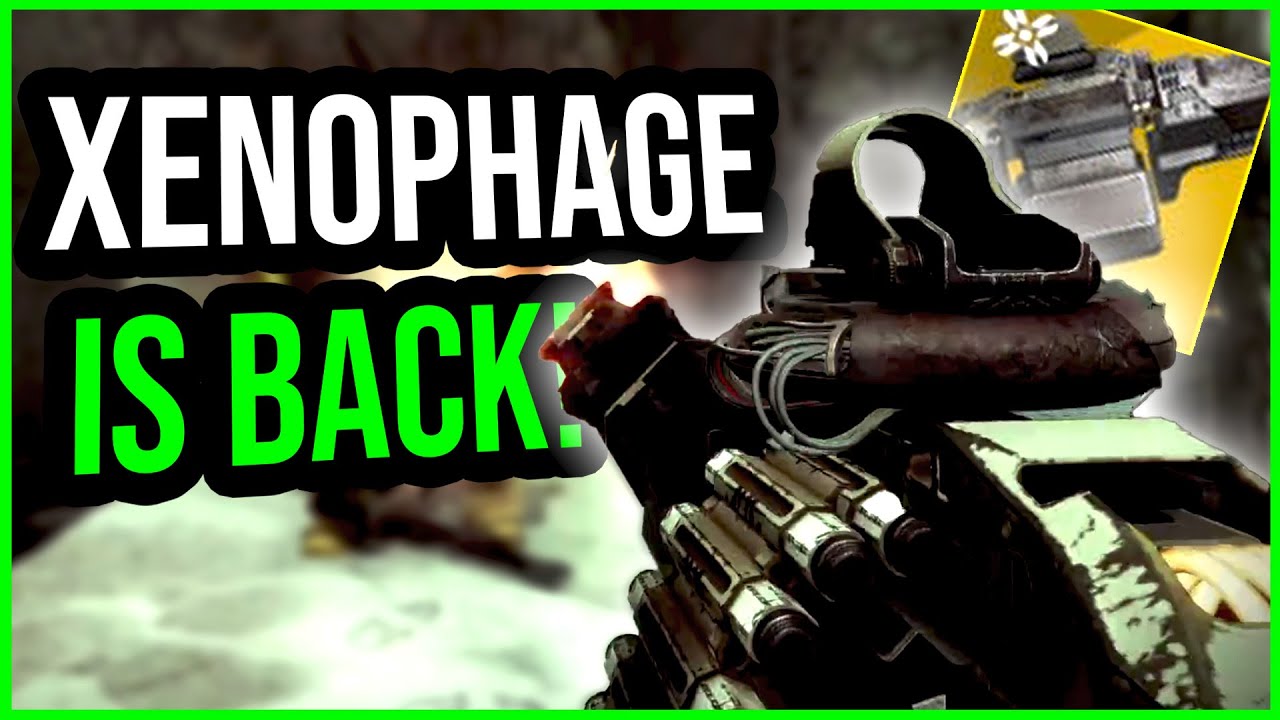 IS XENOPHAGE GOOD AGAIN? TIME TO FIND OUT Destiny 2 YouTube