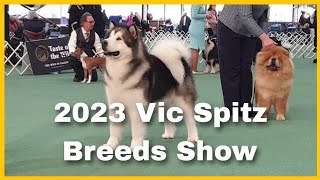 2023 Vic Spitz Breeds Show