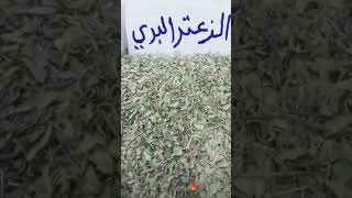 فوائد الزعتر البري المجفف