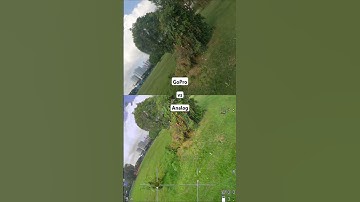 FPV GoPro vs Analog #fpv #gopro #analog #gyroflow #freestyle