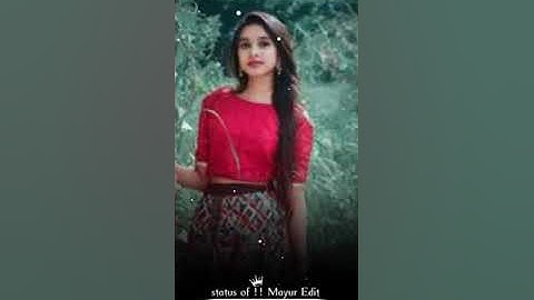 new timli status 2023\\ld dodwa new timli 2023