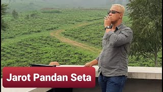 DADI ATI - GEGARANING WONG AKRAMI (BOWO) - JAROT PANDAN SETA
