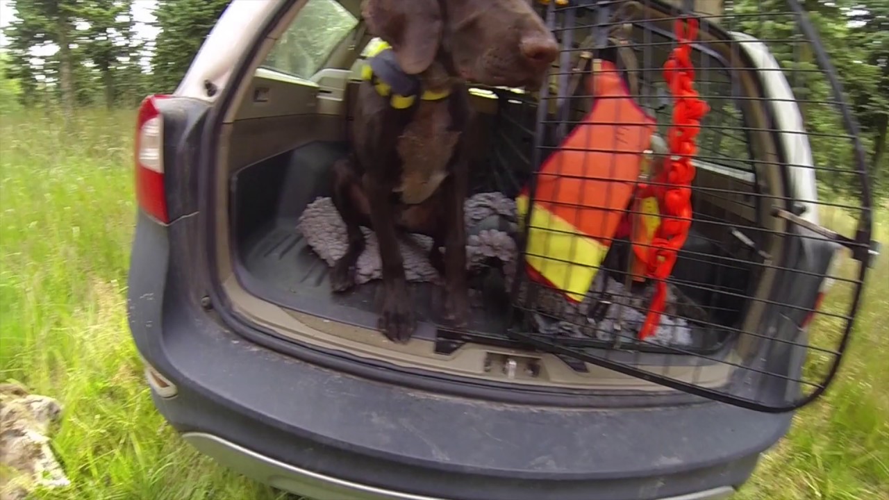 Schweisstræning på en mandag