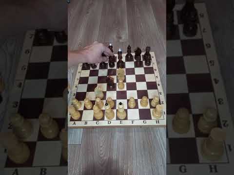 Видео: Шахматен ход ли е гамбитът на дамата?