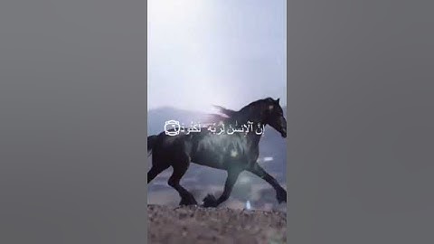 اجمل آيات القرآن الكريم "سورة العاديات"