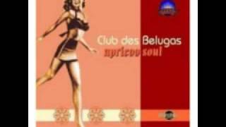 Club des Belugas - Tarrango (feat. Anne Schnell) chords