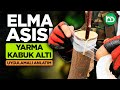 Elma Aşısı, Elma Kabuk Altı Aşı, Elma Yarma Aşı, Elma Çeşit Değiştirme Aşısı (kalemaşısı/8)