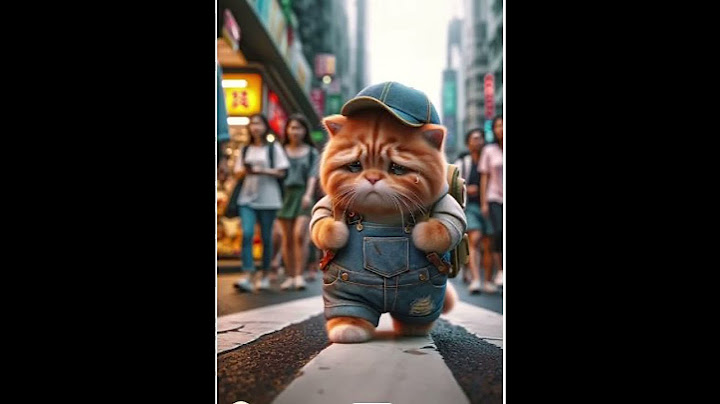 the kitten wanted adventure #cute #cat #cutecat #kitten