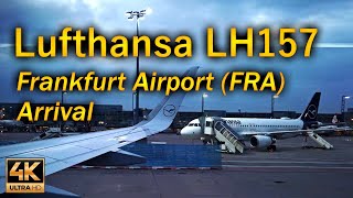 Lufthansa LH157 Arrival Frankfurt Airport (FRA) early in the morning / Aviation / 4K