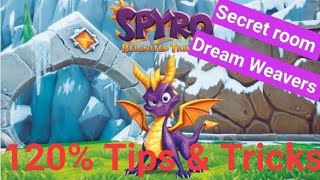 Skill Point Secret Room Dream Weavers Spyro Reignited Trilogy Tips Tricks