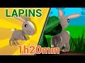 Comptines Des Lapins Les Patapons Comptines Des Lapins Les Patapons