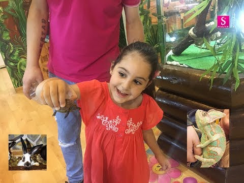 სალი ფაუნა ლენდში ათვალიერებს ცხოველებს და ფრინველებს