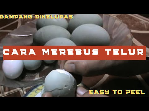 CARA TEPAT MEMASAK TELUR ASIN UNTUK UKM telur asin yang lezat memang dihasilkan dari ketepatan dalam. 