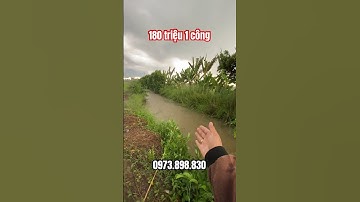 #shorts 5 công 8 đất ruộng giá rẻ tại Vĩnh Long