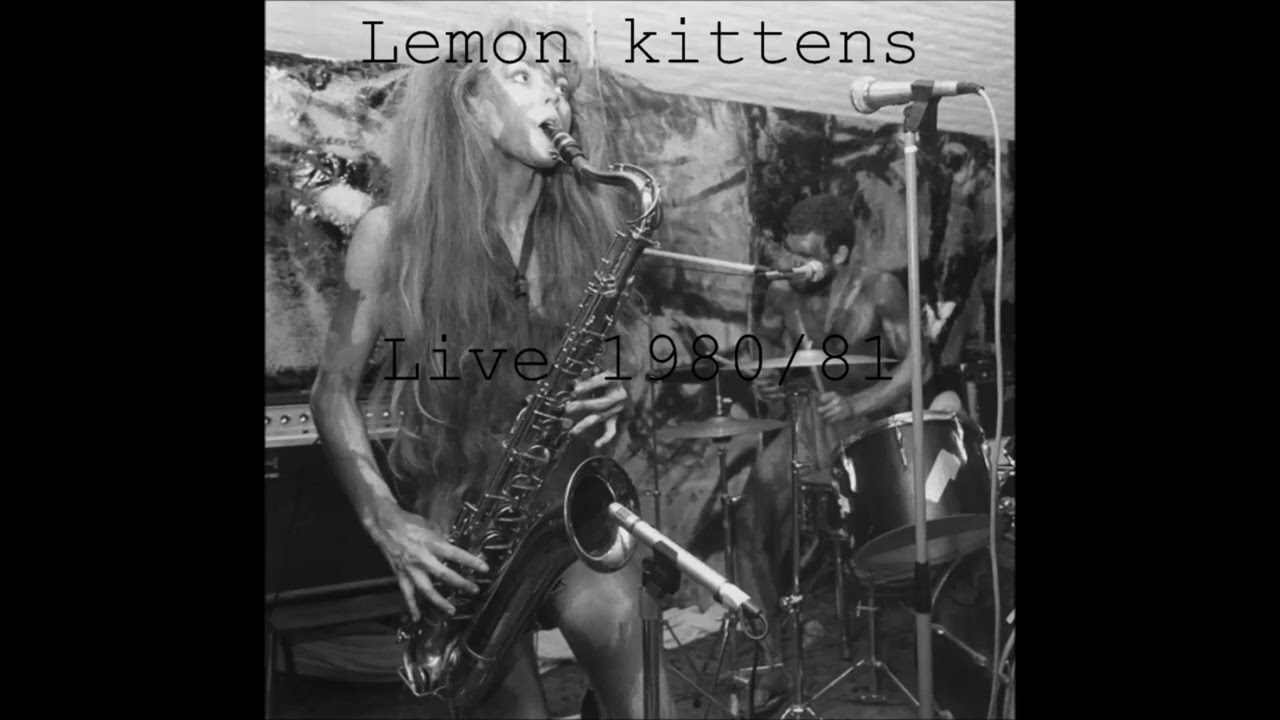 Lemon Kittens - Afraid Of Being Bled By Leeches (ICA London 27-12-1980)