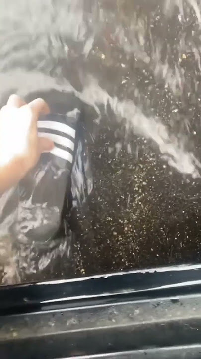 THE SADDEST VIDEO YOU WILL EVER SEEðŸ˜ðŸ’”
