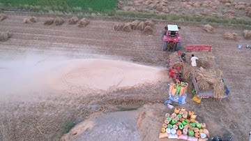 Belarus tractor and thresher | thresher wheat harvesting process | wheat thread |drive Punjabi style