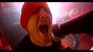 Bullethead, Love & War