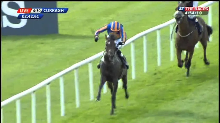Order Of St George- Palmerstown House Estate Irish...