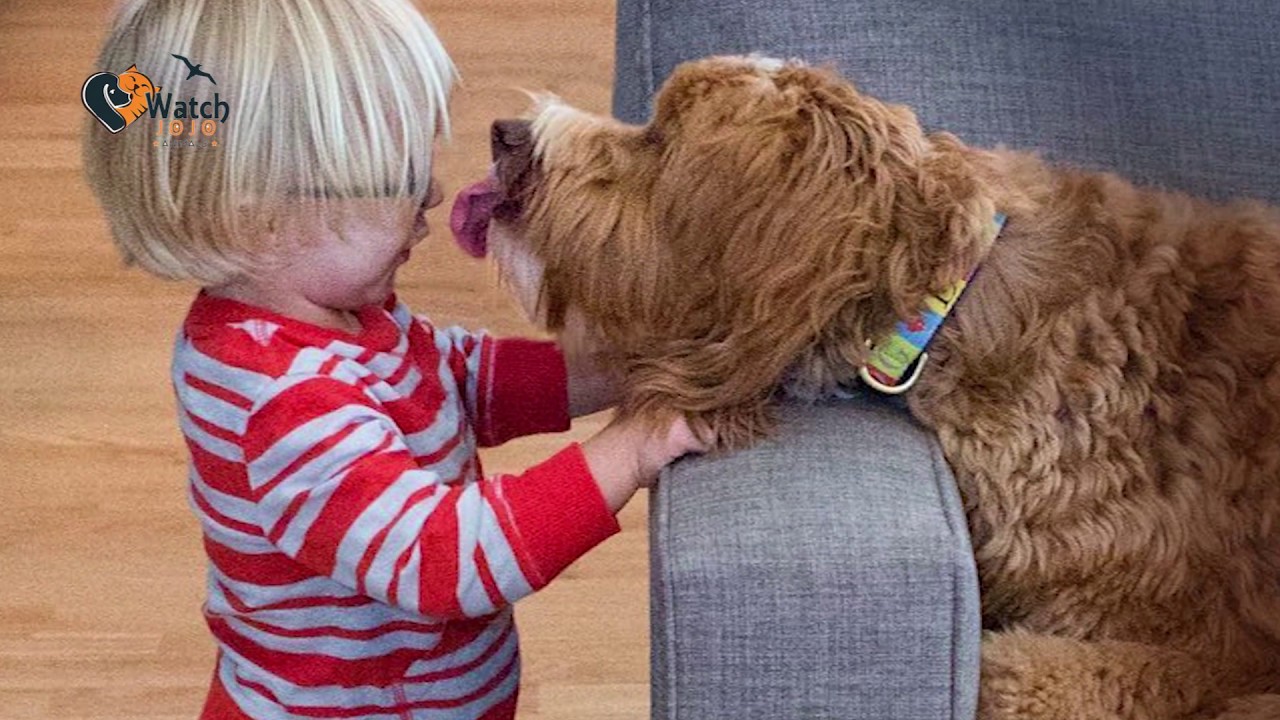 When This 3 Year Old Met His Adopted Familyís Dog, They Had No Idea How Many Hearts They’d Touch When This 3 Year Old Met His Adopted Familyís Dog, They Had No Idea How Many Hearts They’d Touch