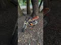 #razor #ebike