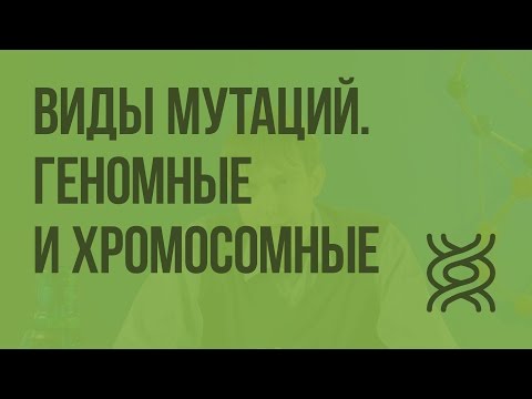 Виды мутаций. Геномные и хромосомные мутации. Видеоурок по биологии 10 класс