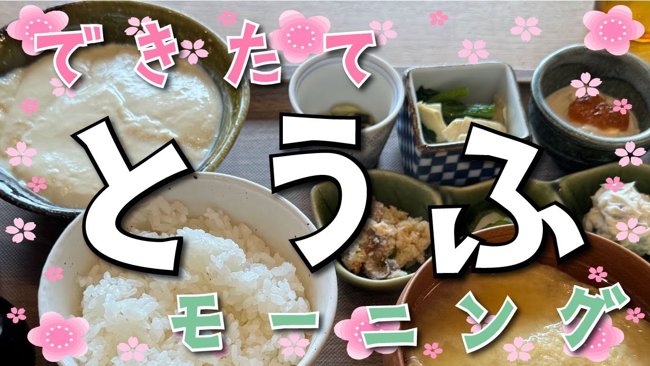 湯河原 十二庵】できたておとうふ御膳【湯河原町】横浜朝めし